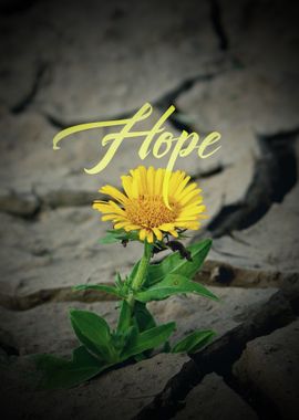 Hope