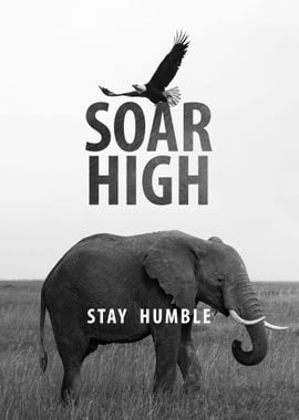 Soar High Stay Humble