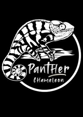 Panther Chameleon Owner