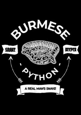 Burmese Python Real Man