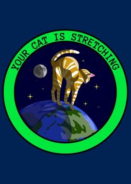 Your Cat in Space on Earth