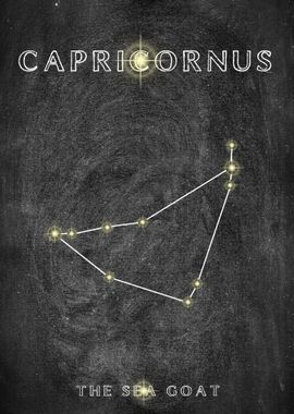 Capricornus Constellation