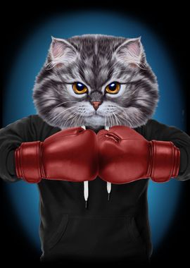 Boxer Cat Boxing Champion