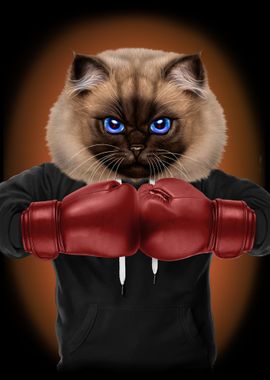 Boxer Cat Boxing Champion