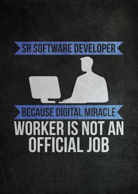 SR Software Developer