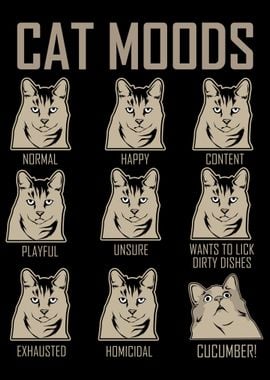 All Cat Moods