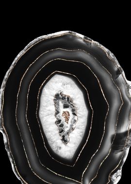 Gray Black White Agate 5