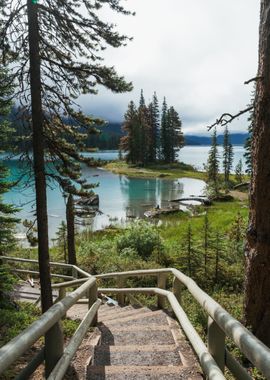 Stairs to Nature on Lake