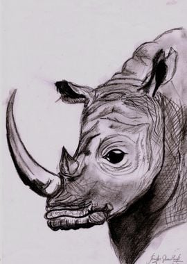 the great rhino