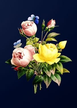 Variety of Roses on Blue