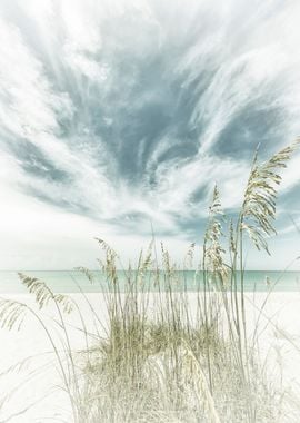 Calmness on the beach