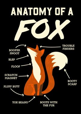 Furry Fandom Anatomy Of A