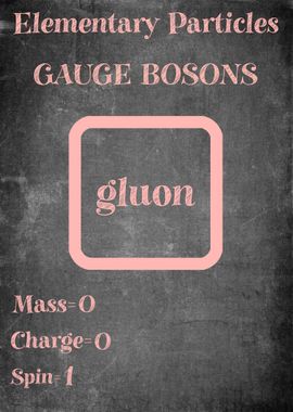 Gluon Boson Particle