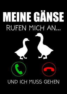 Gans Gnse Bauer Bauern Ge