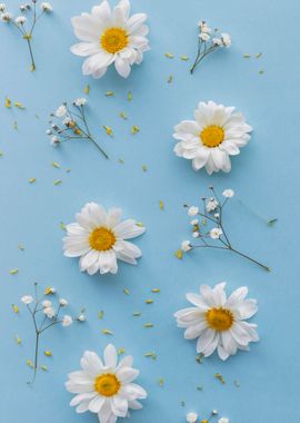 White flowers and blue