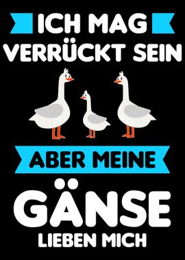 Gans Gnse Bauer Bauern Ge