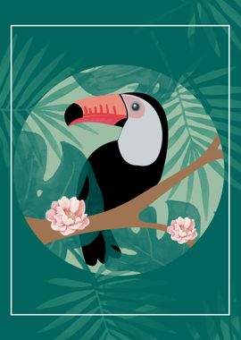 Toucan Tropical