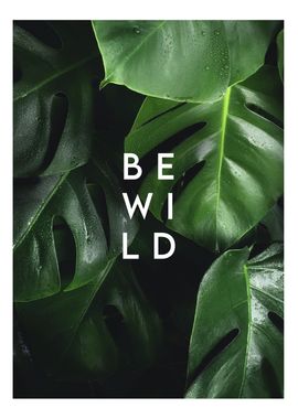 be wild