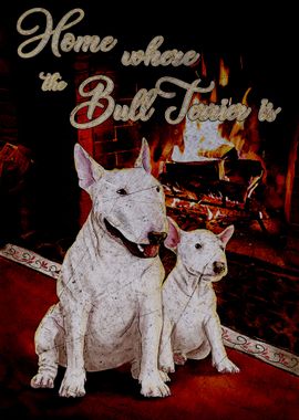 Bull Terrier