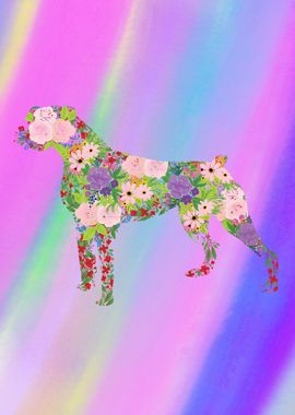 Unicorn Floral Boxer