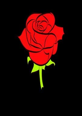 Beautiful rose as a