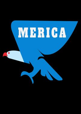 Merica Eagle America 4th