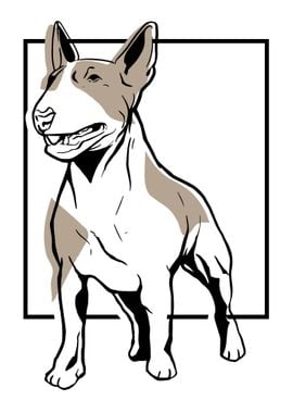 Bull Terrier dog