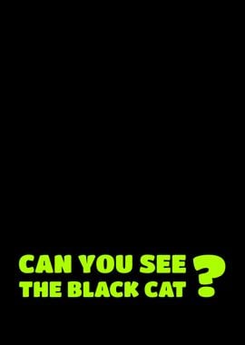 Black Cat Sarcasm Skit Fun