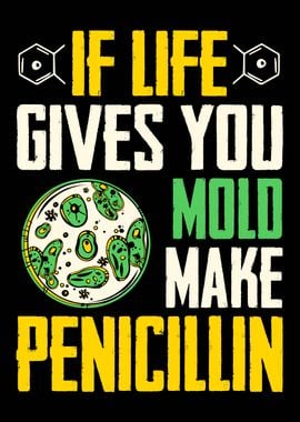 Microbiology Penicillin