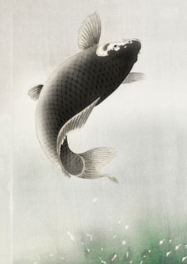 A jumping carp