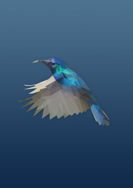 Low Poly Hummingbirg