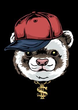 Hip Hop Ferret