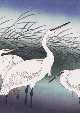 Herons Traditional Japanes