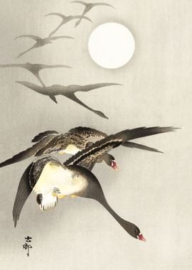 Geese at full moon