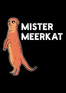 Meerkat Erdmnchen Tiere M