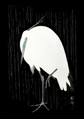 Egret in the rain