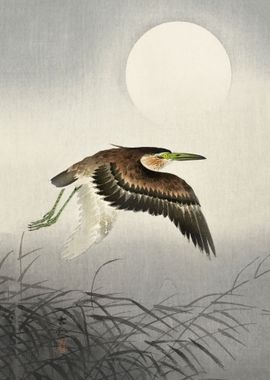 Heron at full moon