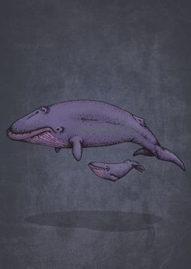 Whale