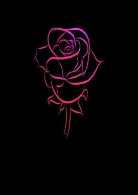 Beautiful rose as a