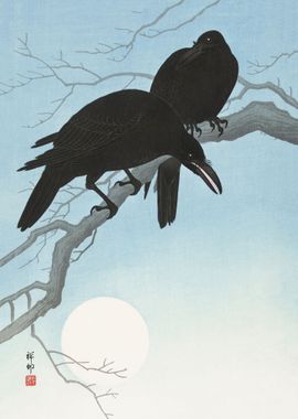 Two crows on a branch