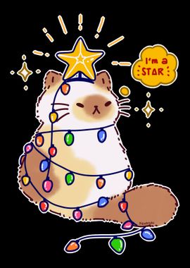 Cat Christmas Lights Star