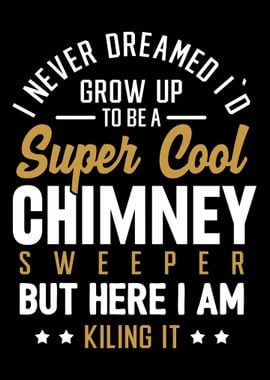 chimney sweeper