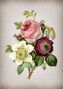 Vintage Anemone Rose