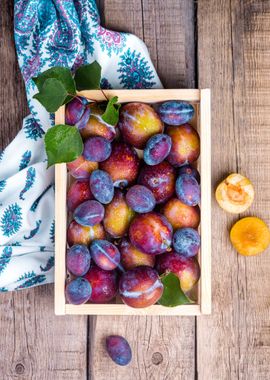 lemmon fruit tree