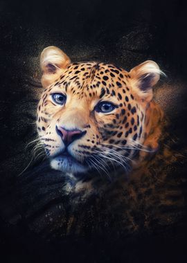 Javan leopard