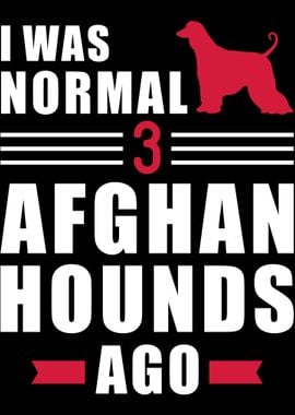 Afghan Hound