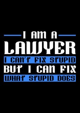 Lawyer Attorney Law