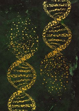 DNA 