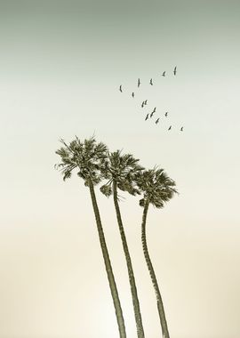 Vintage sunset palm trees