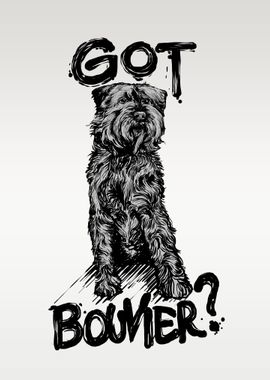 GOT BOUVIER DOG